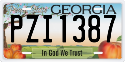 GA license plate PZI1387