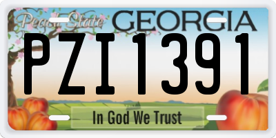 GA license plate PZI1391