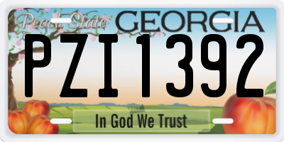 GA license plate PZI1392