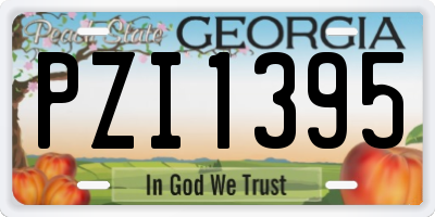 GA license plate PZI1395