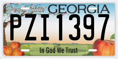 GA license plate PZI1397