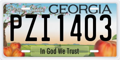 GA license plate PZI1403