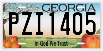 GA license plate PZI1405