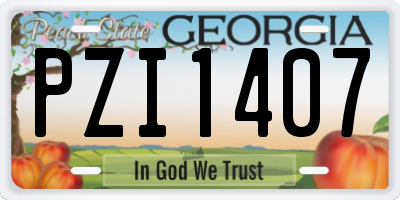 GA license plate PZI1407