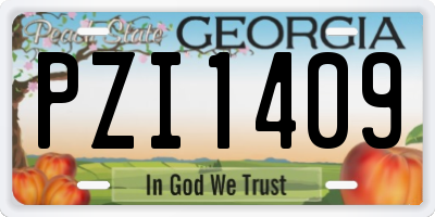 GA license plate PZI1409