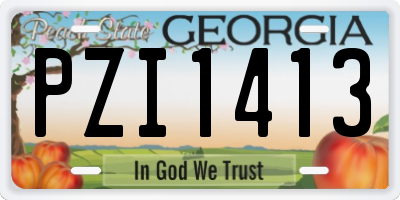 GA license plate PZI1413