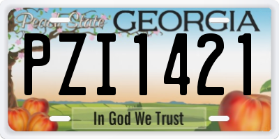 GA license plate PZI1421