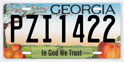 GA license plate PZI1422