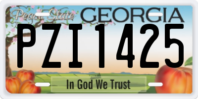 GA license plate PZI1425