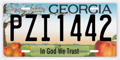 GA license plate PZI1442