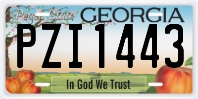 GA license plate PZI1443
