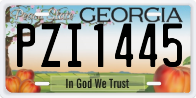 GA license plate PZI1445