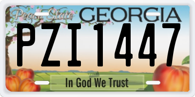 GA license plate PZI1447