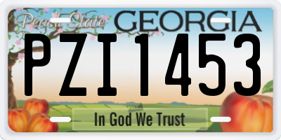 GA license plate PZI1453