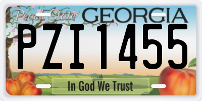 GA license plate PZI1455
