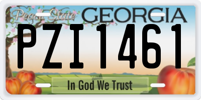 GA license plate PZI1461