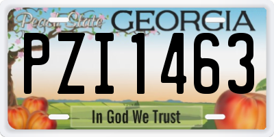 GA license plate PZI1463