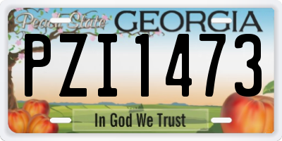 GA license plate PZI1473