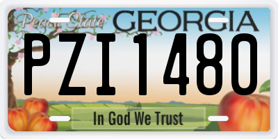 GA license plate PZI1480