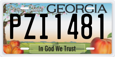 GA license plate PZI1481