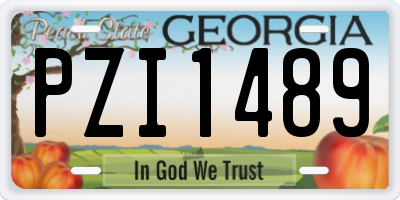 GA license plate PZI1489