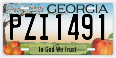 GA license plate PZI1491