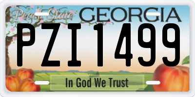 GA license plate PZI1499