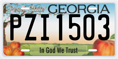 GA license plate PZI1503