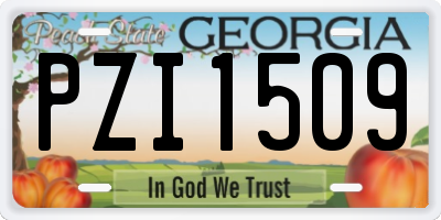 GA license plate PZI1509