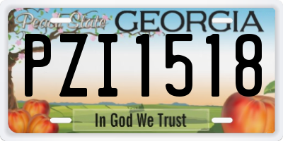 GA license plate PZI1518
