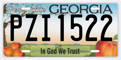 GA license plate PZI1522