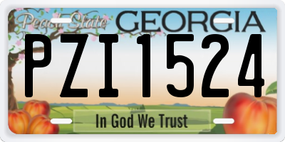 GA license plate PZI1524