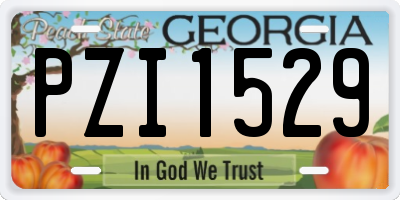GA license plate PZI1529