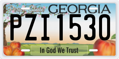 GA license plate PZI1530