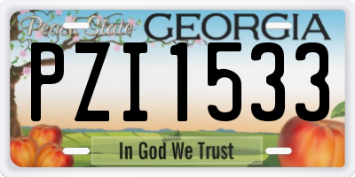 GA license plate PZI1533