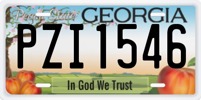 GA license plate PZI1546