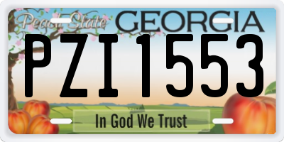 GA license plate PZI1553