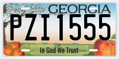GA license plate PZI1555