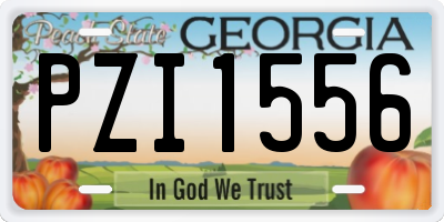 GA license plate PZI1556