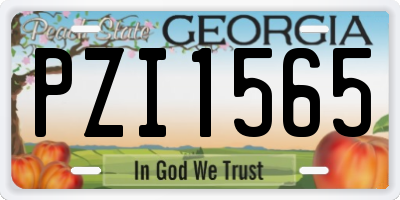 GA license plate PZI1565