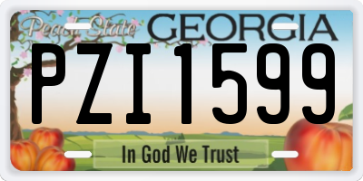 GA license plate PZI1599