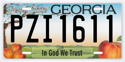 GA license plate PZI1611
