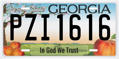 GA license plate PZI1616