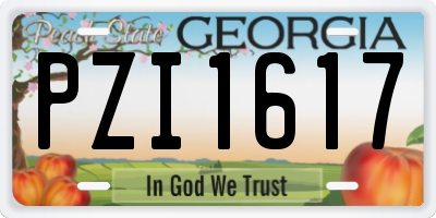GA license plate PZI1617