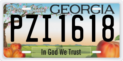 GA license plate PZI1618