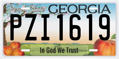 GA license plate PZI1619