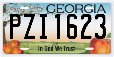 GA license plate PZI1623