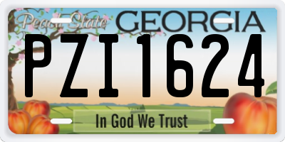 GA license plate PZI1624