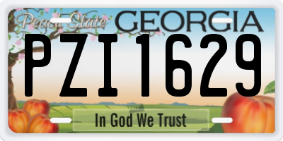 GA license plate PZI1629