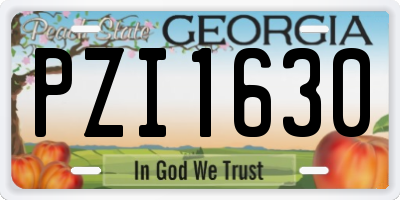 GA license plate PZI1630